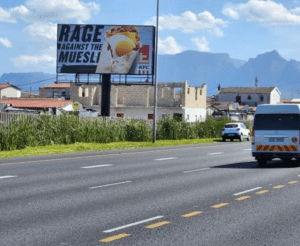 Billboards on N2 Entrance Cape Town with outdoor advertising, township, highway, urban, Outdoor Static, taxi rank, prices, rates, costs, rental, woodlands, and marketing